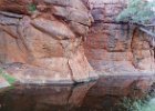 Canning  Durba Spring