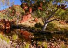 Canning  Killegurra Gorge
