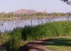15 Ord at Kununurra  30 Ord at Kununurra