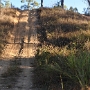 Three Options at Cradle Creek