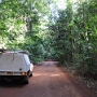 Cape York - Punsand Bay road