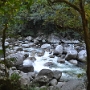 The River