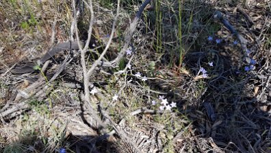20201012_135707 null