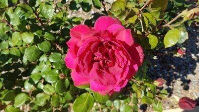 20201012_101407 null