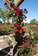 20201012_101645 null