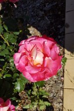 20201012_102030 null