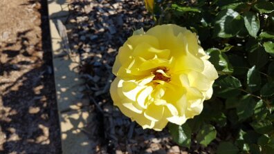 20201012_102149 null