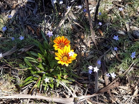 Inland Botanical Gardens