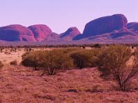 The Olgas : Olgas