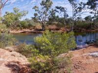 Kenedy Creek - Canning