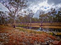 Lagoon at Carnarvon Station  Carnavon Station : 2015, , canarvon station