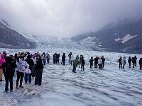 Athabasca Glacier Columbia Icefield Alberta Canada  Athabasca Glacier Columbia Icefield Alberta Canada : 2017, Alberta, Canada, Columbia Icefield, Athabasca Glacier