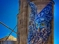 Wall Art on Silo  Goorambat Silo