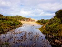 Whisky Creek near Wilsons Promontory