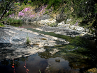Deep Creek near Cape Jervis  Deep Creek at Cape Jervis