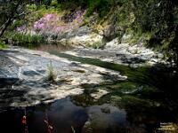Deep Creek near Cape Jervis  Deep Creek near Cape Jervis : 2017, Cape Jervis