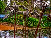 Sculptures at Uni Darwin  Statues in Pond at Darwin University : 2011, Canberra, Floriade