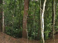 Rain Forest : Queensland, Mara & John, Lake Tineroo