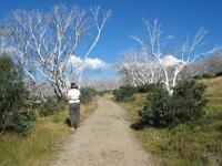 High Plains Victoria
