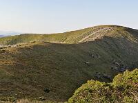 The Razorback to Mt Feathertop  Razorback near Mt Hotham. Jan 2010 : Trips