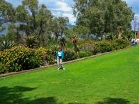 One of the Garden Strips