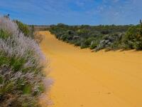 To Noondamurra Pools