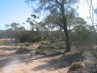 Newmans Rock 4