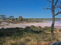Pink Lakes 3