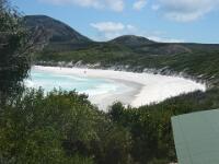Thistle Cove