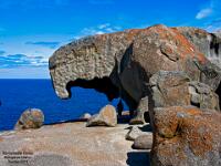 Kangaroo Island : sa, kangaroo island
