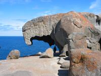 Kangaroo Island : SA, Kangaroo Island