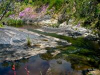 Arthur River Tasmania