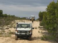 Wyperfeld National Park : Victorian Deserts, Wyperfeld, Milmed Track