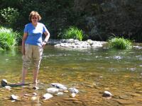 Howqua River - Sheepyard Flats : Meg Dillon