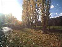 Poplar Avenue : Marysville