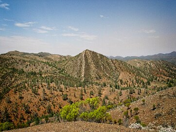Bunyeroo Gorge