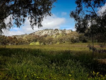Strathbogies