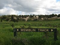 Tracks to Lake Albacutya 5