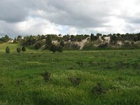 Tracks to Lake Albacutya 6