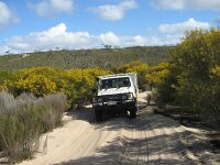 Border Tk, The gums campsite wattle avenue