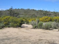 Border Tk,The Gums campsite