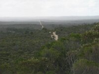 Border Tk,from Hensley Trig Point