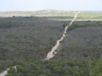 Border Track