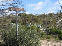 Cactus Tk 2
