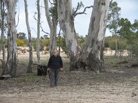 Cactus Tk, Red Gums campsite, Terry
