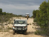 Centre Tk, Wang 4X4
