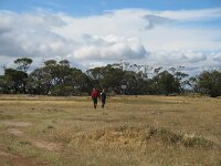 Cowangi, Kow Plains homestead, 1860s 7