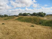 Cowangi, Kow Plains homestead,7