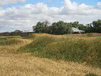 Cowangi, Kow Plains homestead,8