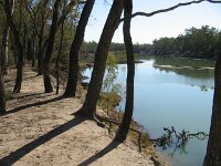 Hattah-Kulkyne NP,River rd, Murray Riv